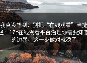 我真没想到：别把“在线观看”当捷径：17c在线观看平台治理你需要知道的边界，这一步做对就稳了