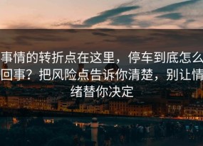 事情的转折点在这里，停车到底怎么回事？把风险点告诉你清楚，别让情绪替你决定