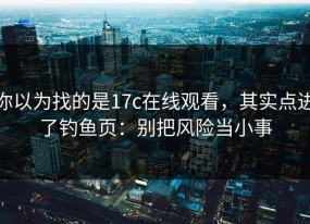 你以为找的是17c在线观看，其实点进了钓鱼页：别把风险当小事