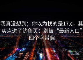 我真没想到：你以为找的是17.c，其实点进了钓鱼页：别被“最新入口”四个字带偏