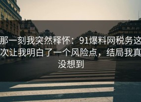 那一刻我突然释怀：91爆料网税务这次让我明白了一个风险点，结局我真没想到