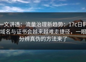 一文讲透：流量治理新趋势：17c日韩域名与证书会越来越难走捷径，一眼分辨真伪的方法来了