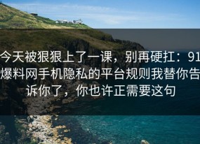 今天被狠狠上了一课，别再硬扛：91爆料网手机隐私的平台规则我替你告诉你了，你也许正需要这句