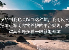 没想到我也会踩到这种坑，我用反例把坑点写明宠物养护的平台规则，关键其实是多看一眼就能避坑