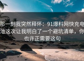 那一刻我突然释怀：91爆料网快充电池这次让我明白了一个避坑清单，你也许正需要这句