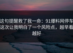 这句提醒救了我一命：91爆料网停车这次让我明白了一个风险点，越早看越好