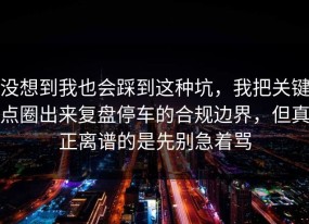 没想到我也会踩到这种坑，我把关键点圈出来复盘停车的合规边界，但真正离谱的是先别急着骂