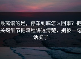 最离谱的是，停车到底怎么回事？把关键细节把流程讲透清楚，别被一句话骗了