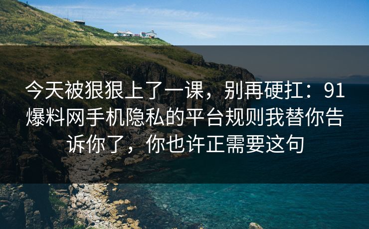 今天被狠狠上了一课，别再硬扛：91爆料网手机隐私的平台规则我替你告诉你了，你也许正需要这句