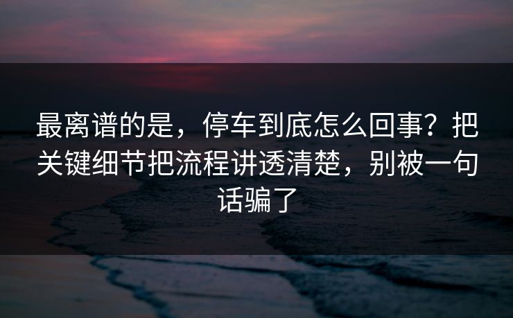最离谱的是，停车到底怎么回事？把关键细节把流程讲透清楚，别被一句话骗了