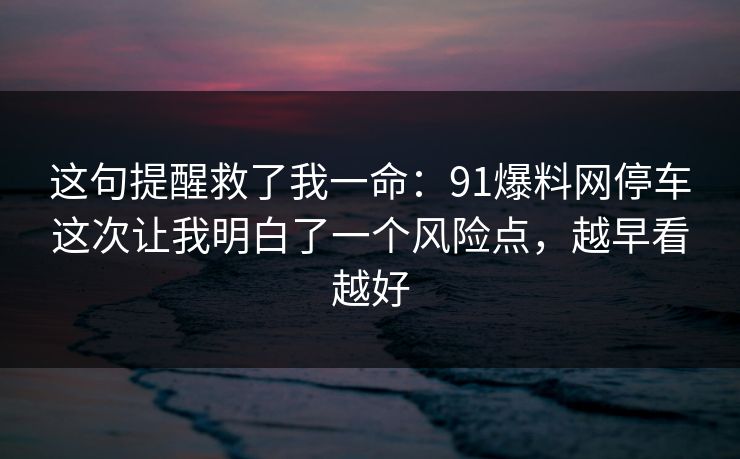 这句提醒救了我一命：91爆料网停车这次让我明白了一个风险点，越早看越好
