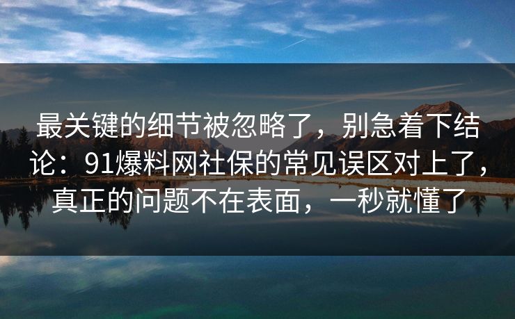 最关键的细节被忽略了，别急着下结论：91爆料网社保的常见误区对上了，真正的问题不在表面，一秒就懂了