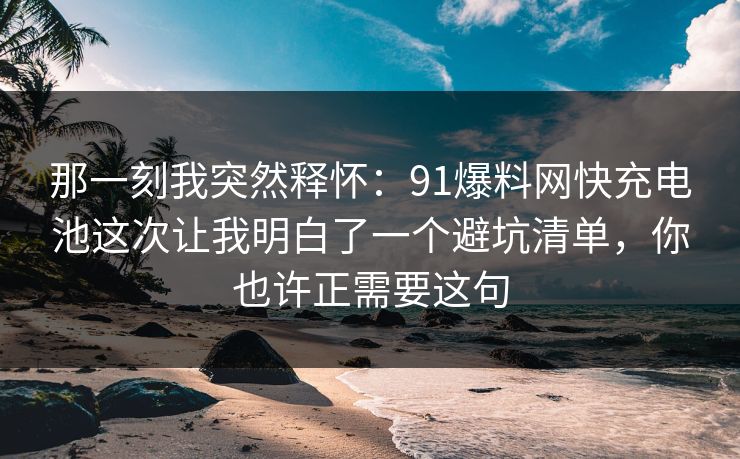 那一刻我突然释怀：91爆料网快充电池这次让我明白了一个避坑清单，你也许正需要这句