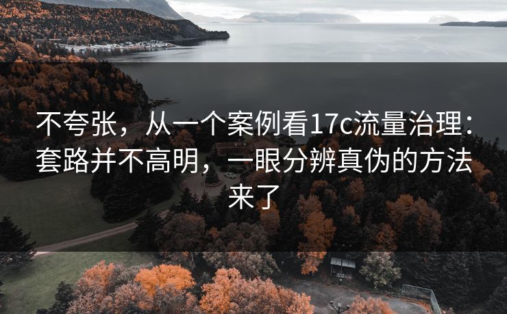 不夸张,从一个案例看17c流量治理:套路并不高明,一眼分辨真伪的方法来了 不夸张,从一个案例看17c流量治理:套路并不高明,一眼分辨真伪的方法来了