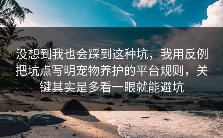 没想到我也会踩到这种坑,我用反例把坑点写明宠物养护的平台规则,关键其实是多看一眼就能避坑 没想到我也会踩到这种坑,我用反例把坑点写明宠物养护的平台规则,关键其实是多看一眼就能避坑